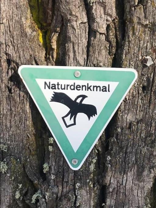 Altes Grabenhoefchen - 5 Sterne Ferienhaus Sondheim Eksteriør bilde